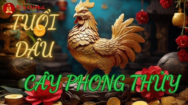 Bí Quyết Chọn Cây Phong Thủy Cho Người Tuổi Dậu Để Thu Hút Tài Lộc Và Vượng Khí