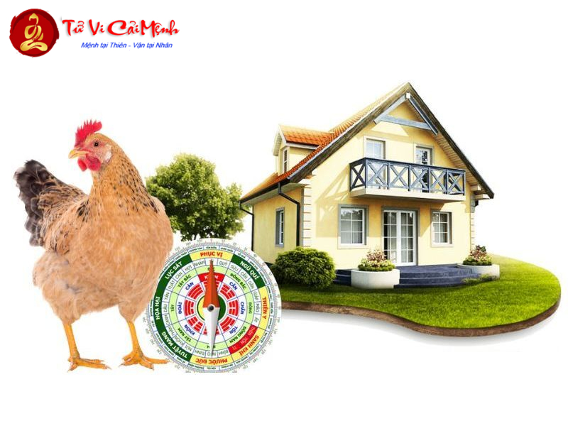 Hướng Nhà Hợp Phong Thủy Cho Người Tuổi Dậu: Thu Hút Tài Lộc Và Vượng Khí