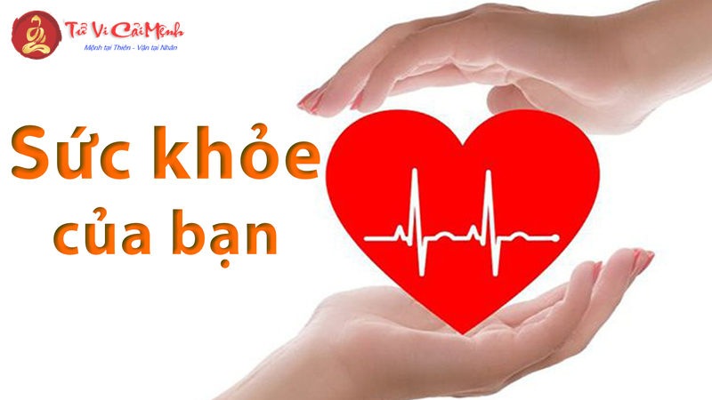 Hướng Nhà Hợp Phong Thuỷ Cho Người Tuổi Mão: Tăng Cường Tài Lộc Và Vận Khí