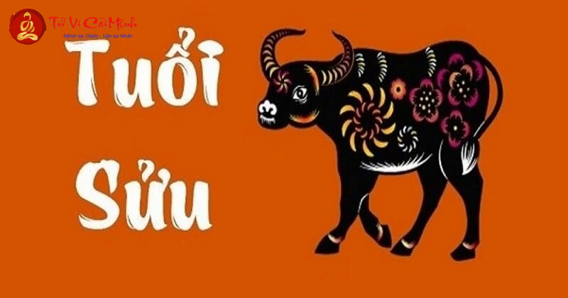 Vật Phẩm Phong Thuỷ Cho Người Tuổi Sửu: Bí Quyết Thu Hút Tài Lộc Và Vượng Khí