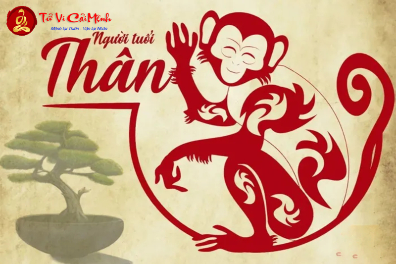 Khám Phá Đá Phong Thủy Giúp Người Tuổi Thân Thu Hút Tài Lộc