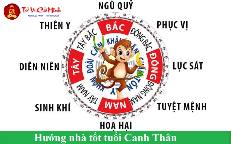 Hướng Nhà Hợp Phong Thủy Thu Hút Tài Lộc Cho Người Tuổi Thân
