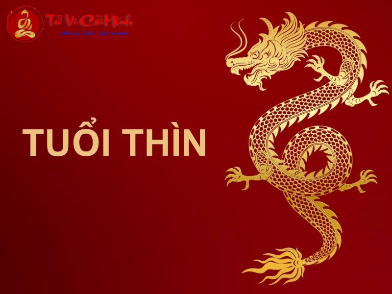 Khám Phá Đá Phong Thuỷ Tăng Tài Lộc, Cải Vận Cho Người Tuổi Thìn