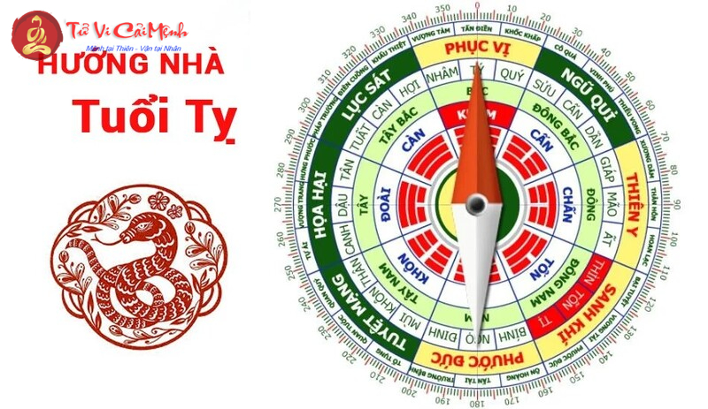 Hướng Nhà Hợp Phong Thủy Cho Người Tuổi Tỵ: Thu Hút Tài Lộc Và Năng Lượng Tích Cực