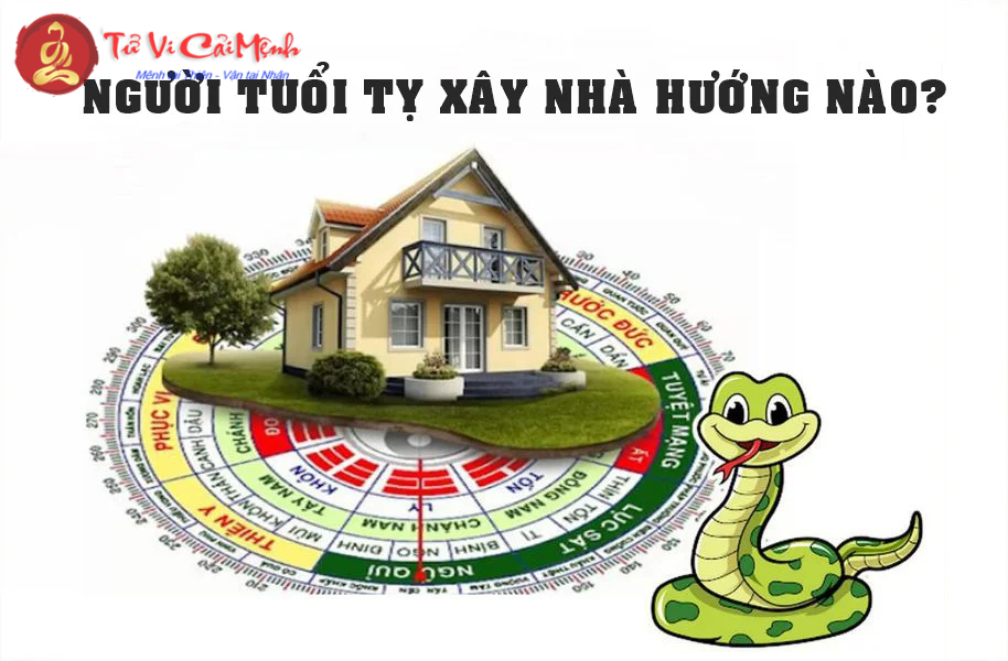 Hướng Nhà Hợp Phong Thủy Cho Người Tuổi Tỵ: Thu Hút Tài Lộc Và Năng Lượng Tích Cực