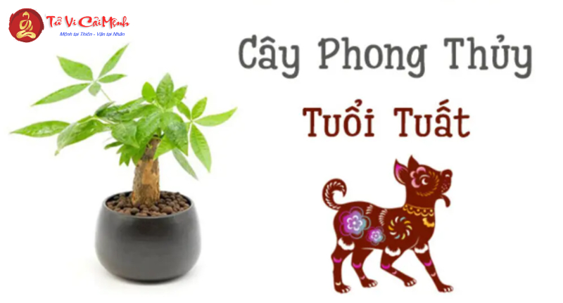 Khám Phá Cây Phong Thủy Hoàn Hảo Cho Người Tuổi Tuất – Bí Quyết Hút Tài Lộc và May Mắn