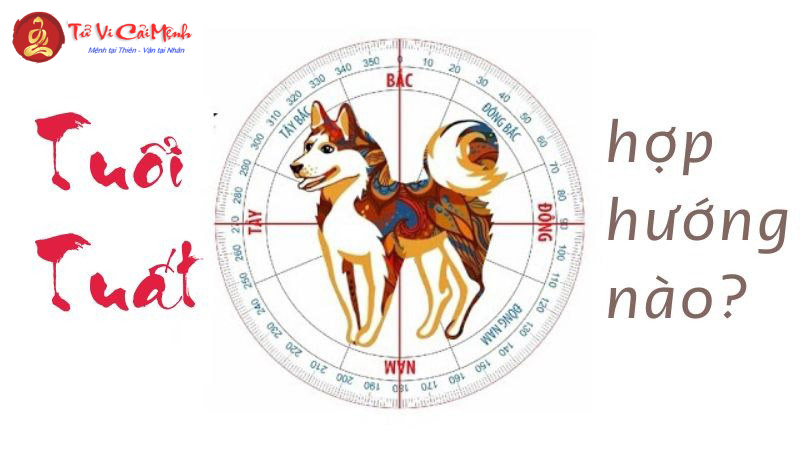 Hướng Nhà Hợp Phong Thủy Cho Người Tuổi Tuất – Thu Hút Tài Lộc, Bình An