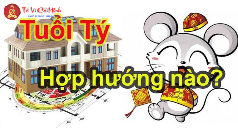 Hướng Nhà Hợp Phong Thủy Cho Người Tuổi Tý: Bí Quyết Thu Hút Tài Lộc Và Bình An