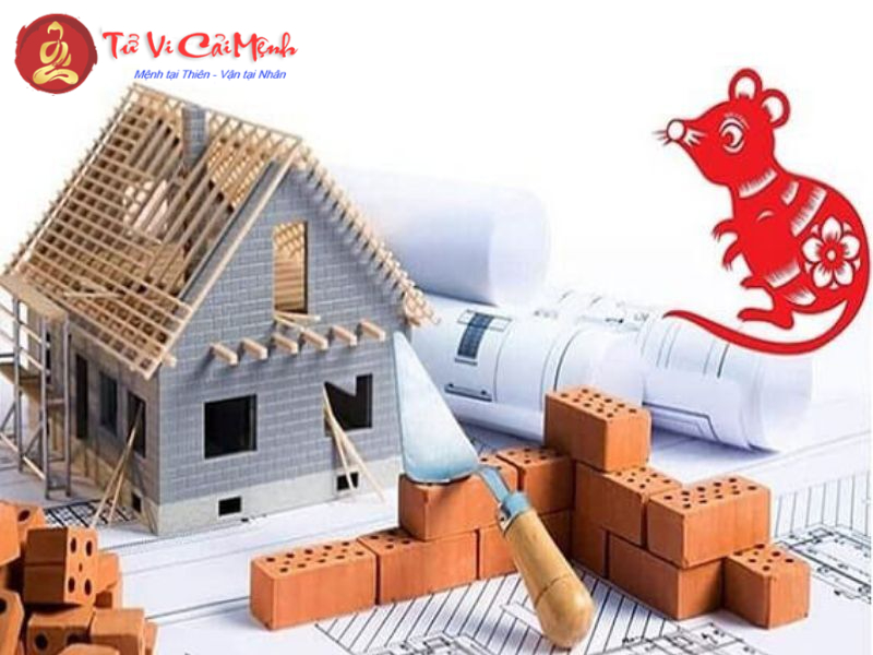 Hướng Nhà Hợp Phong Thủy Cho Người Tuổi Tý: Bí Quyết Thu Hút Tài Lộc Và Bình An