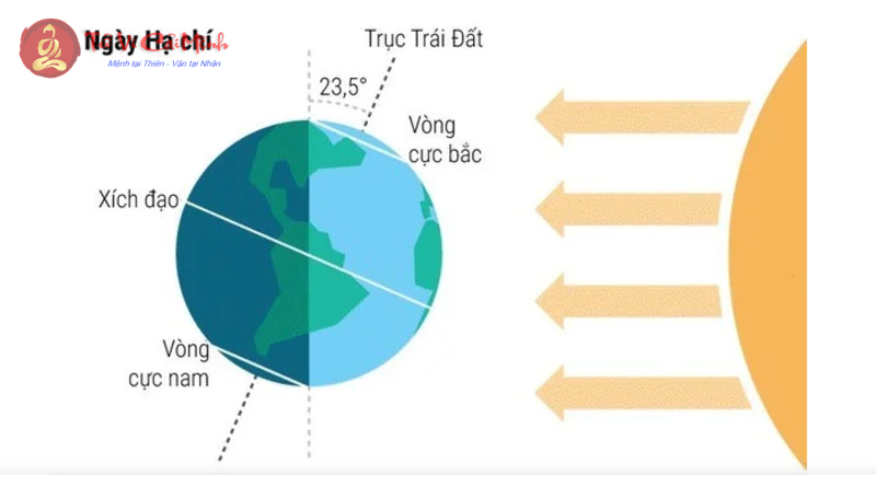 Hạ Chí Là Gì? Ý Nghĩa Tiết Hạ Chí