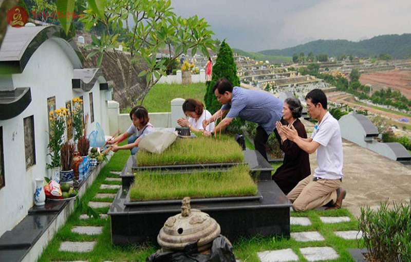 Thanh Minh Là Gì? Ý Nghĩa Tiết Thanh Minh