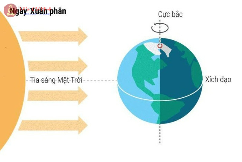 Xuân Phân Là Gì? Ý Nghĩa Tiết Xuân Phân