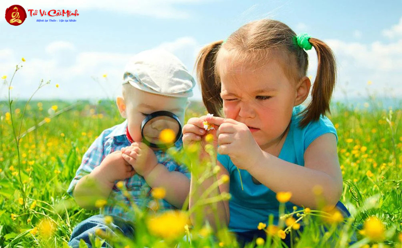 4 Loại Hình Thế Cát - Hung Của Thủy: Bí Mật Phong Thủy Mộ Phần