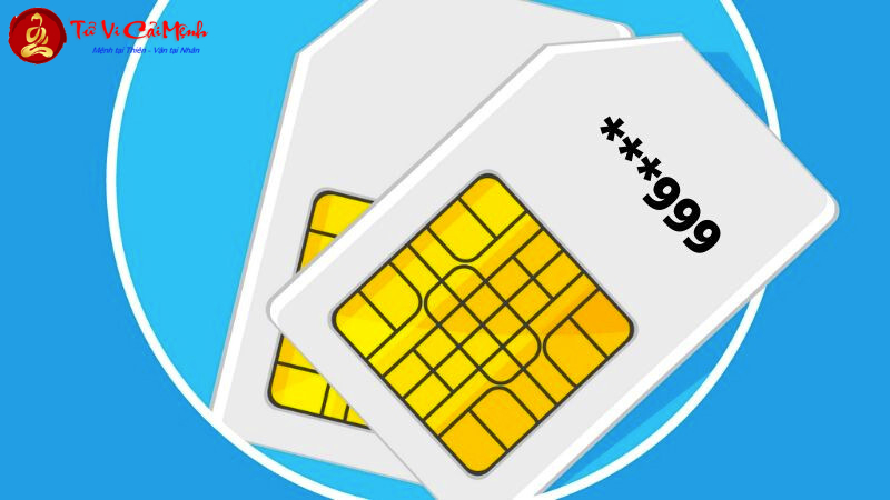 Sim Hợp Mệnh Mộc: Bí Quyết Chọn Sim Phong Thủy Mang Lại Tài Lộc Và Thành Công