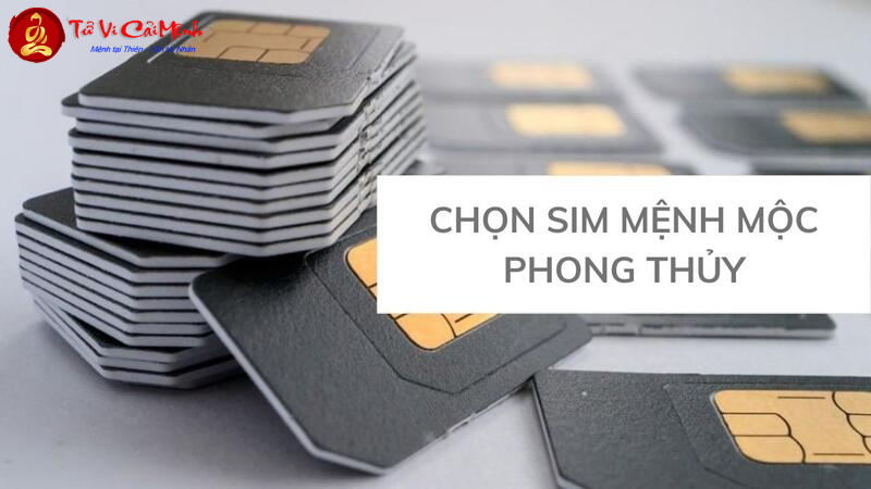 Sim Hợp Mệnh Mộc: Bí Quyết Chọn Sim Phong Thủy Mang Lại Tài Lộc Và Thành Công