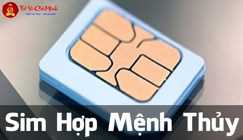 Sim Hợp Mệnh Thủy: Bí Quyết Chọn Sim Phong Thủy Thu Hút Tài Lộc Và Thành Công