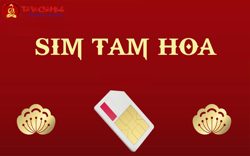 Sim Hợp Mệnh Thủy: Bí Quyết Chọn Sim Phong Thủy Thu Hút Tài Lộc Và Thành Công