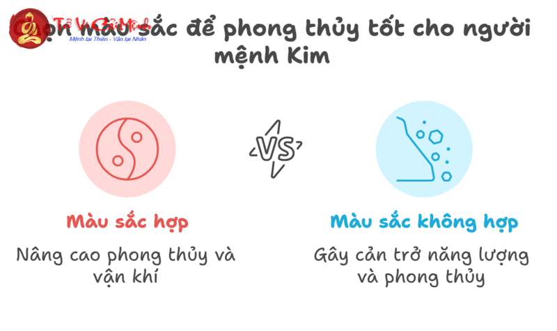 Mệnh Kim Chọn Xe Màu Gì Để Tăng Tài Lộc Và Bình An?