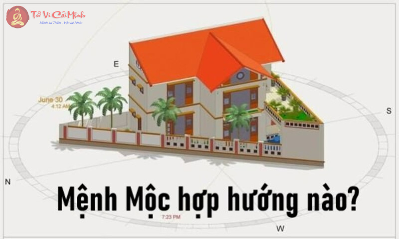 Bí Mật Hướng Nhà May Mắn Cho Người Mệnh Mộc: Thu Hút Tài Lộc và Vượng Khí