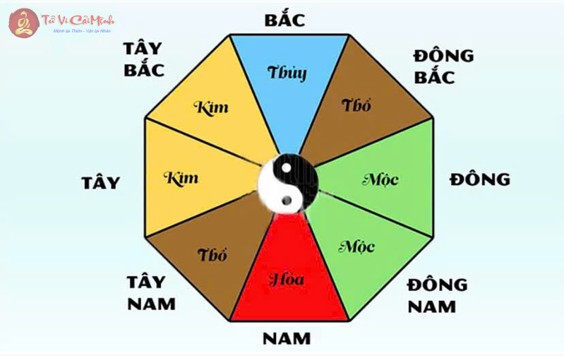 Bí Mật Hướng Nhà May Mắn Cho Người Mệnh Mộc: Thu Hút Tài Lộc và Vượng Khí