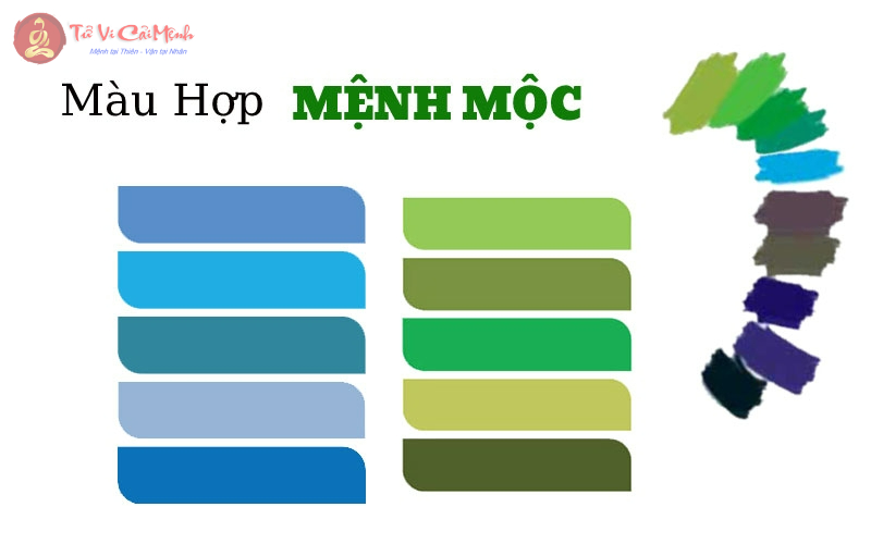 Khám Phá Màu Sắc Hợp Mệnh Mộc: Bí Quyết Thu Hút Tài Lộc và Bình An