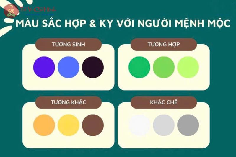 Khám Phá Màu Sắc Hợp Mệnh Mộc: Bí Quyết Thu Hút Tài Lộc và Bình An