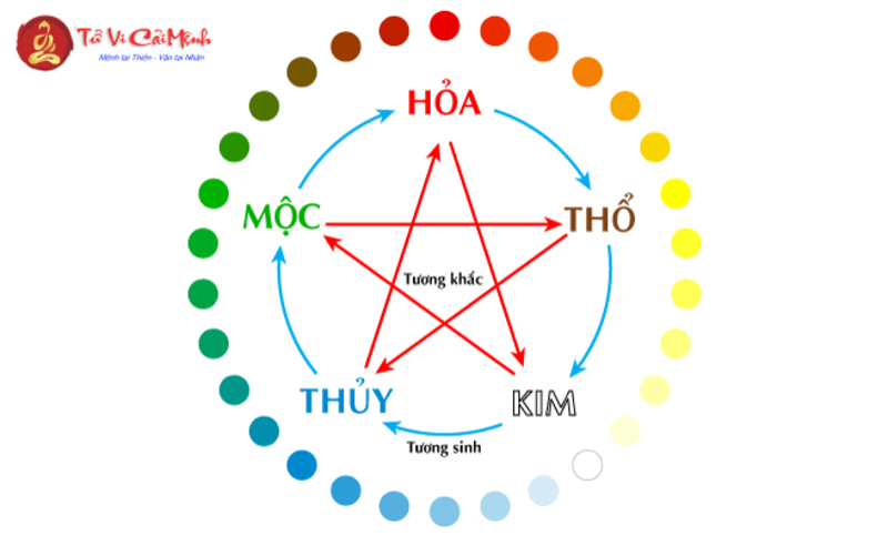 Ứng Dụng Ngũ Hành Chọn Nghề Nghiệp Phù Hợp