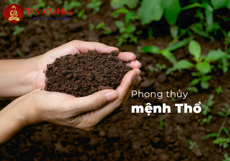 Khám Phá Bí Mật: Mệnh Thổ Hợp Đá Gì Để Thu Hút May Mắn Và Tài Lộc?