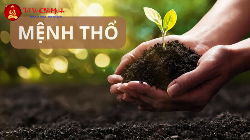 Khám Phá Bí Mật Vật Phẩm Phong Thủy Mang Lại Tài Lộc Cho Người Mệnh Thổ