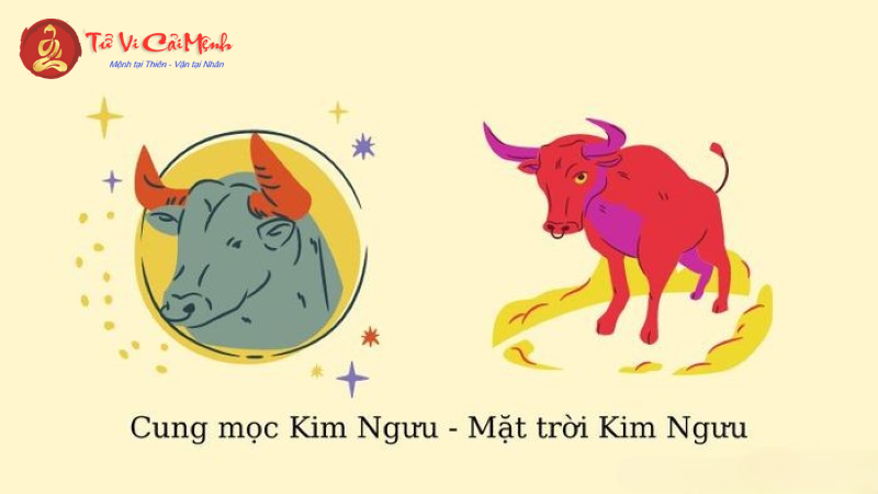 Sự khác biệt giữa Cung Mặt Trời Kim Ngưu và Cung Mọc Kim Ngưu