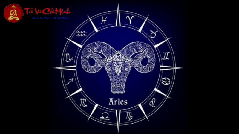 Cung Mọc Ma Kết khi kết hợp với 12 Sun Sign