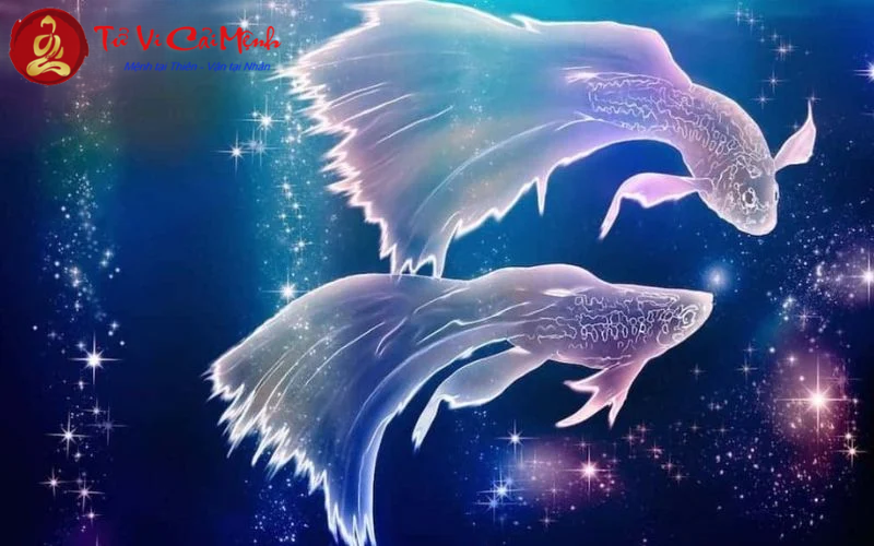 Cung Mọc Song Ngư khi kết hợp với 12 Sun Sign