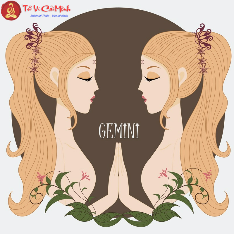 Cung Mọc Song Tử khi kết hợp với 12 Sun Sign