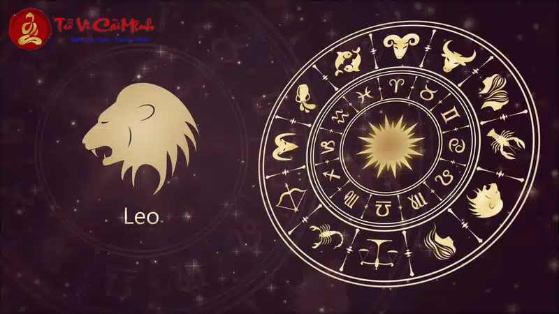 Cung Mọc Sư Tử khi kết hợp với 12 Sun Sign