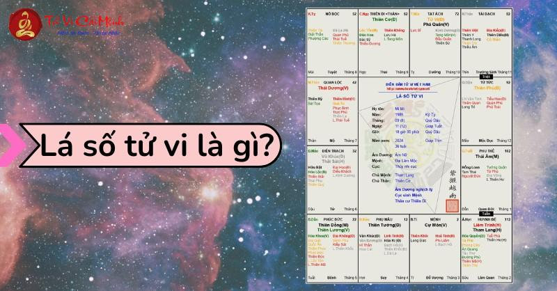 Lá số của bạn thuộc kiểu nào?