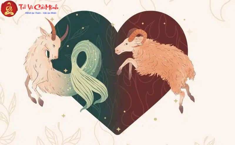 Sự khác biệt giữa Cung Mặt Trời Ma Kết và Cung Mặt Trăng Ma Kết