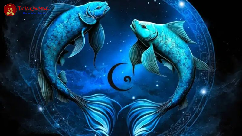 Mặt Trời Song Ngư kết hợp với 12 cung Mặt Trăng