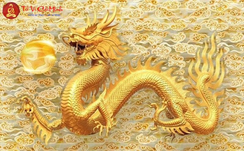 Đầu và đuôi con rồng của bạn nằm ở đâu?