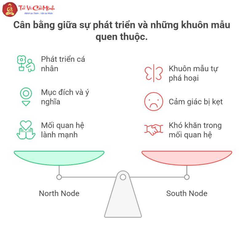 Đầu và đuôi con rồng của bạn nằm ở đâu?