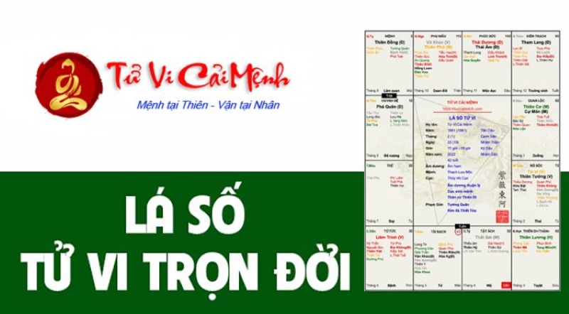 Phần nào trong lá số của bạn là mạnh mẽ nhất?