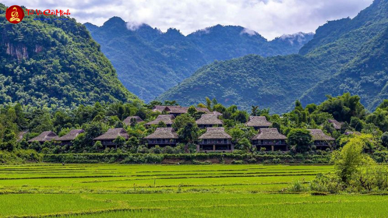 Bình Dương Quý Nhân Lộc Mã: Nghệ Thuật Phong Thủy Bình Địa Mang Lại Phú Quý
