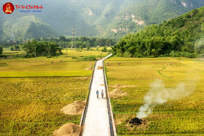 Bình Dương Quý Nhân Lộc Mã: Nghệ Thuật Phong Thủy Bình Địa Mang Lại Phú Quý