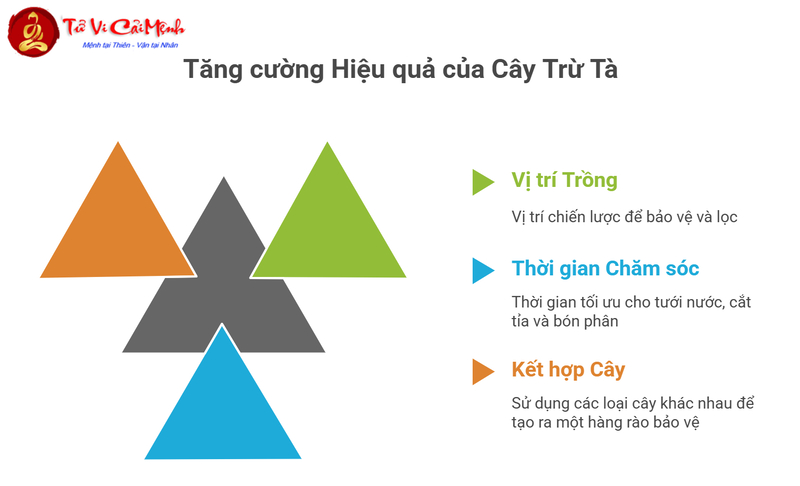 Các Loại Cây Có Thể Trừ Tà - Bảo Vệ Ngôi Nhà Khỏi Tà Khí