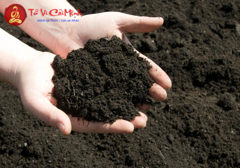 Phái Hình Pháp: Bí Quyết Chọn Đất Và Phân Tích Địa Hình Phong Thủy