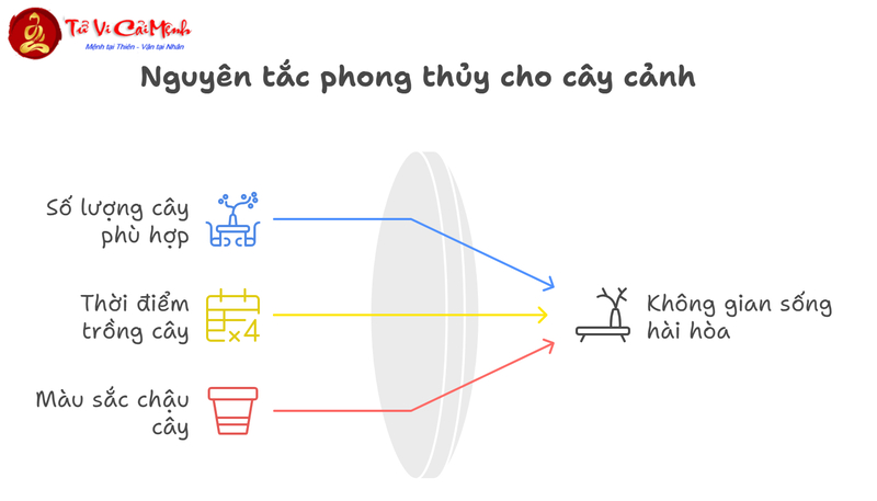 Cây Cảnh Phong Thủy: Bí Quyết Chọn Lựa Và Bố Trí Hợp Mệnh