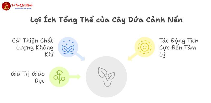 Cây Dứa Cảnh Nến: Ý Nghĩa Phong Thủy Và Cách Chăm Sóc Mang Lại May Mắn