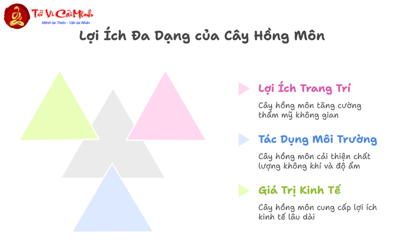 Cây Hồng Môn: Hướng Dẫn Trồng Và Chăm Sóc Cây Phong Thủy Hoa Đỏ