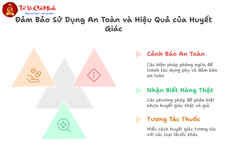 Cây Huyết Giác: Ý Nghĩa Phong Thủy Và Công Dụng Y Học Cổ Truyền