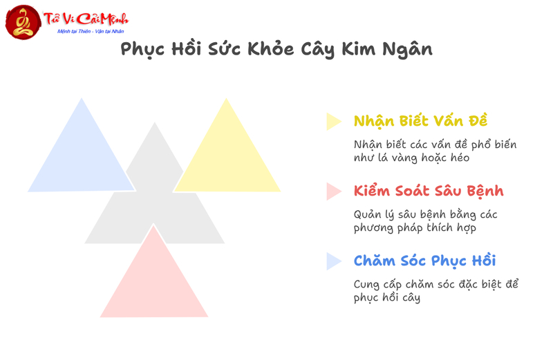 Cây Kim Ngân: Bí Quyết Trồng Và Bài Trí Cây Phong Thủy Mang Tài Lộc