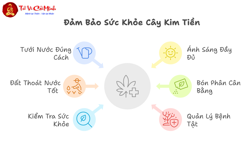 Cây Kim Tiền: Bí Quyết Trồng Và Chăm Sóc Cây Phong Thủy Mang Tài Lộc